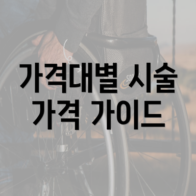 가격대별 시술 가격 가이드