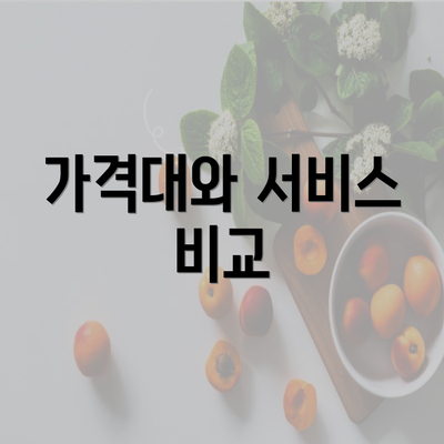 가격대와 서비스 비교