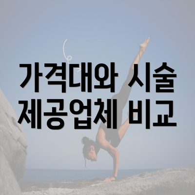 가격대와 시술 제공업체 비교