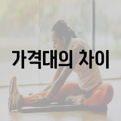 가격대의 차이