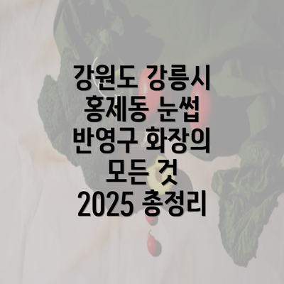 강원도 강릉시 홍제동 눈썹 반영구 화장의 모든 것 2025 총정리