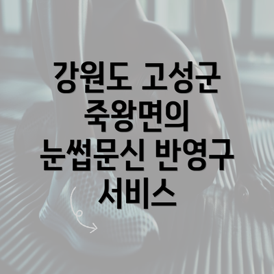 강원도 고성군 죽왕면의 눈썹문신 반영구 서비스