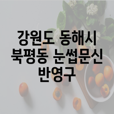 강원도 동해시 북평동 눈썹문신 반영구