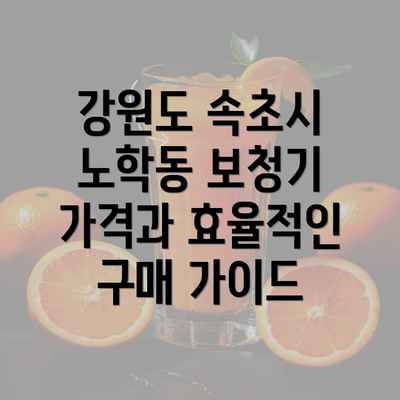 강원도 속초시 노학동 보청기 가격과 효율적인 구매 가이드