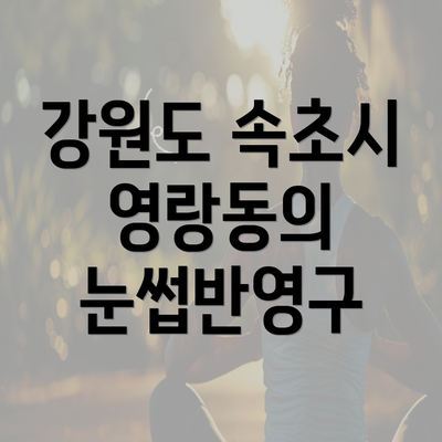 강원도 속초시 영랑동의 눈썹반영구