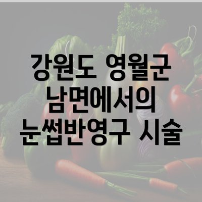 강원도 영월군 남면에서의 눈썹반영구 시술