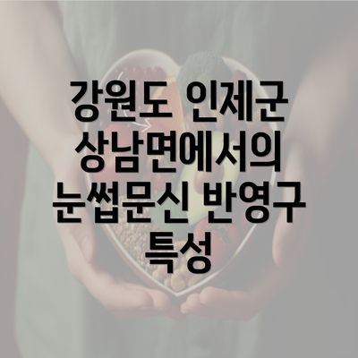 강원도 인제군 상남면에서의 눈썹문신 반영구 특성