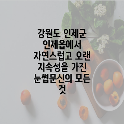 강원도 인제군 인제읍에서 자연스럽고 오랜 지속성을 가진 눈썹문신의 모든 것