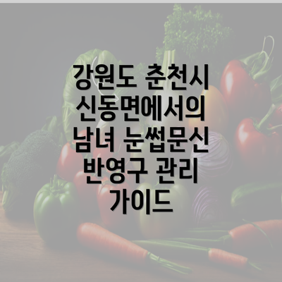 강원도 춘천시 신동면에서의 남녀 눈썹문신 반영구 관리 가이드