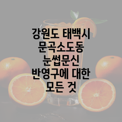 강원도 태백시 문곡소도동 눈썹문신 반영구에 대한 모든 것