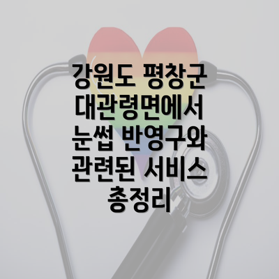 강원도 평창군 대관령면에서 눈썹 반영구와 관련된 서비스 총정리