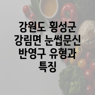 강원도 횡성군 강림면 눈썹문신 반영구 유형과 특징