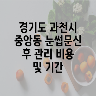 경기도 과천시 중앙동 눈썹문신 후 관리 비용 및 기간