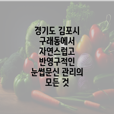 경기도 김포시 구래동에서 자연스럽고 반영구적인 눈썹문신 관리의 모든 것