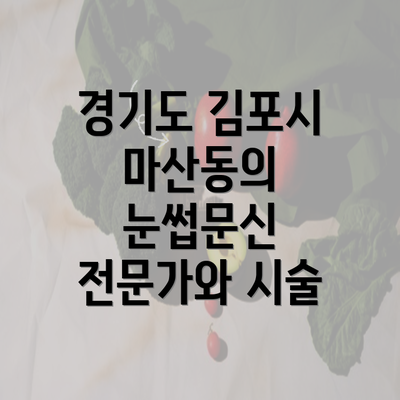 경기도 김포시 마산동의 눈썹문신 전문가와 시술