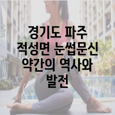 경기도 파주 적성면 눈썹문신 약간의 역사와 발전