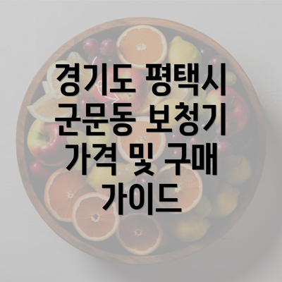 경기도 평택시 군문동 보청기 가격 및 구매 가이드