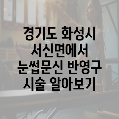 경기도 화성시 서신면에서 눈썹문신 반영구 시술 알아보기