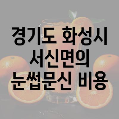 경기도 화성시 서신면의 눈썹문신 비용