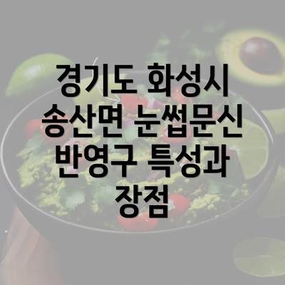 경기도 화성시 송산면 눈썹문신 반영구 특성과 장점