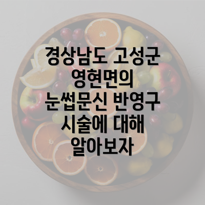 경상남도 고성군 영현면의 눈썹문신 반영구 시술에 대해 알아보자