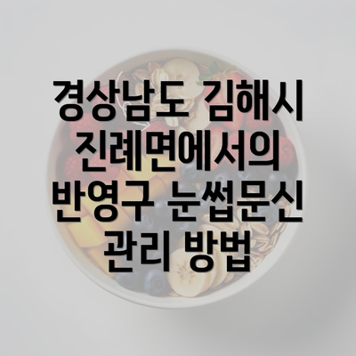 경상남도 김해시 진례면에서의 반영구 눈썹문신 관리 방법