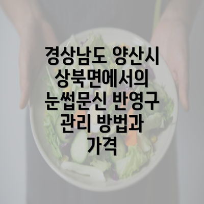 경상남도 양산시 상북면에서의 눈썹문신 반영구 관리 방법과 가격