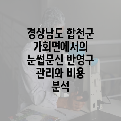 경상남도 합천군 가회면에서의 눈썹문신 반영구 관리와 비용 분석