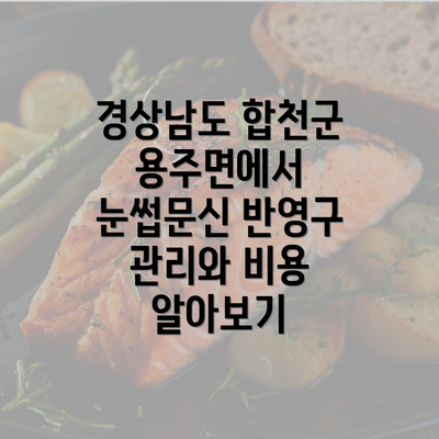 경상남도 합천군 용주면에서 눈썹문신 반영구 관리와 비용 알아보기