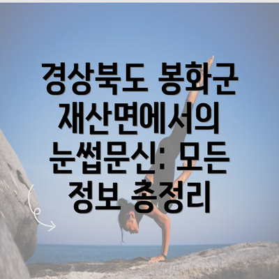 경상북도 봉화군 재산면에서의 눈썹문신: 모든 정보 총정리