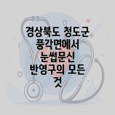 경상북도 청도군 풍각면에서 눈썹문신 반영구의 모든 것