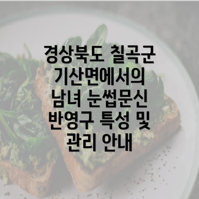 경상북도 칠곡군 기산면에서의 남녀 눈썹문신 반영구 특성 및 관리 안내