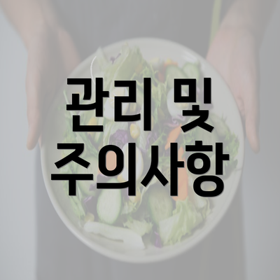 관리 및 주의사항