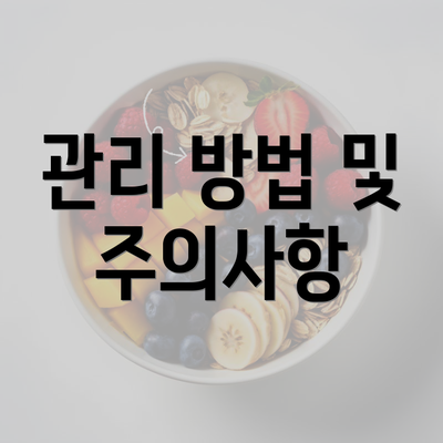 관리 방법 및 주의사항