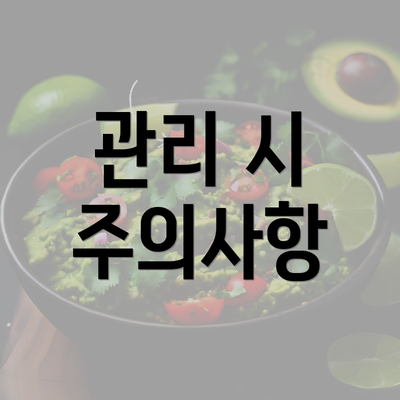 관리 시 주의사항