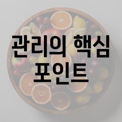 관리의 핵심 포인트