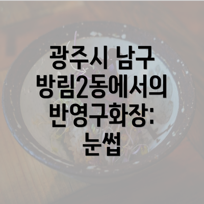 광주시 남구 방림2동에서의 반영구화장: 눈썹