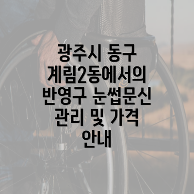 광주시 동구 계림2동에서의 반영구 눈썹문신 관리 및 가격 안내