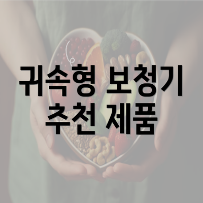 귀속형 보청기 추천 제품