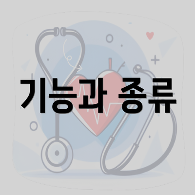 기능과 종류