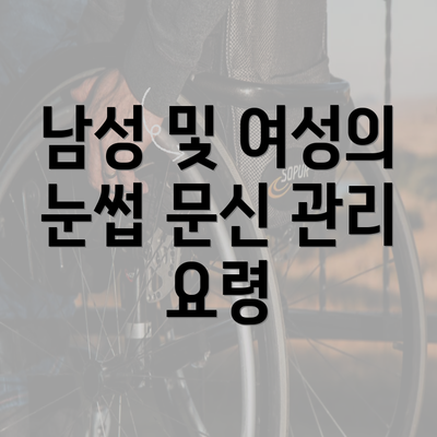 남성 및 여성의 눈썹 문신 관리 요령