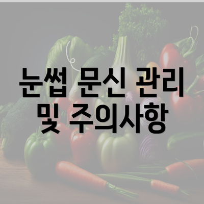 눈썹 문신 관리 및 주의사항