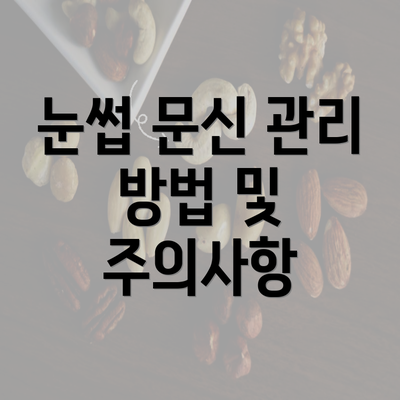 눈썹 문신 관리 방법 및 주의사항