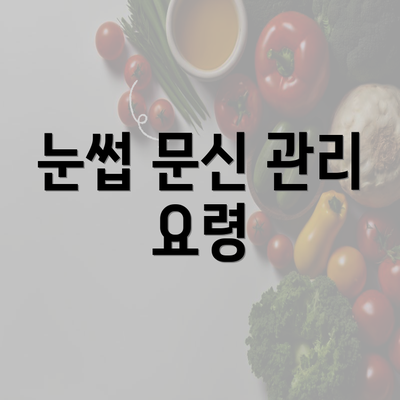 눈썹 문신 관리 요령