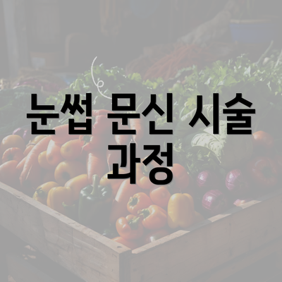 눈썹 문신 시술 과정