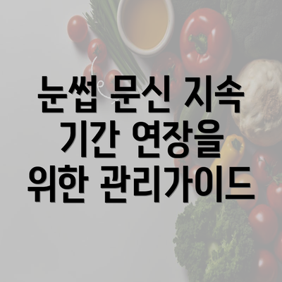 눈썹 문신 지속 기간 연장을 위한 관리가이드