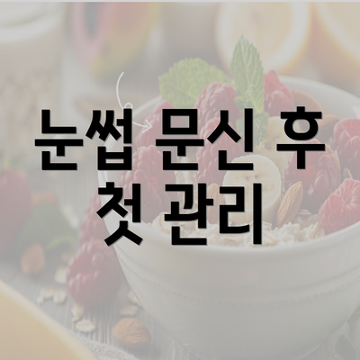 눈썹 문신 후 첫 관리