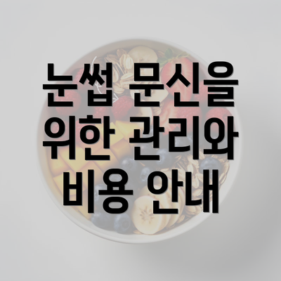 눈썹 문신을 위한 관리와 비용 안내