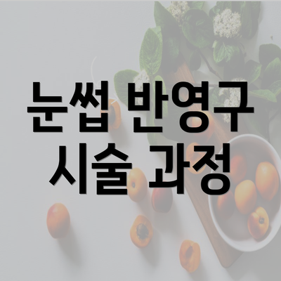 눈썹 반영구 시술 과정