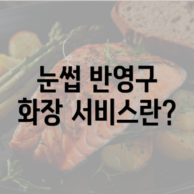 눈썹 반영구 화장 서비스란?